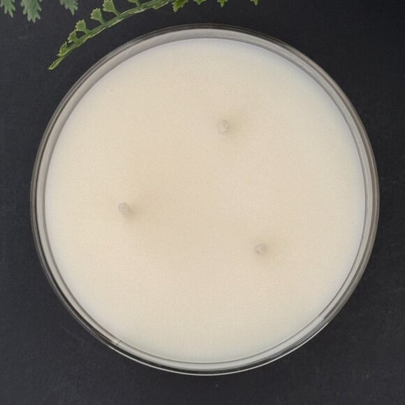 BBW Vanilla Snowflake Bath & Body Works 3 Wick Candle - Picture 7 of 10